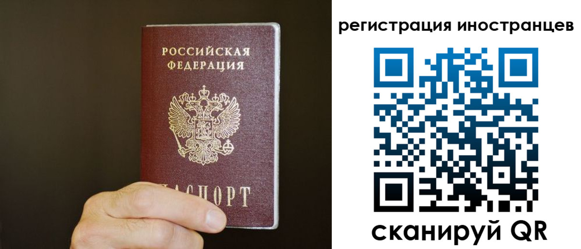 прописка в Дмитрове